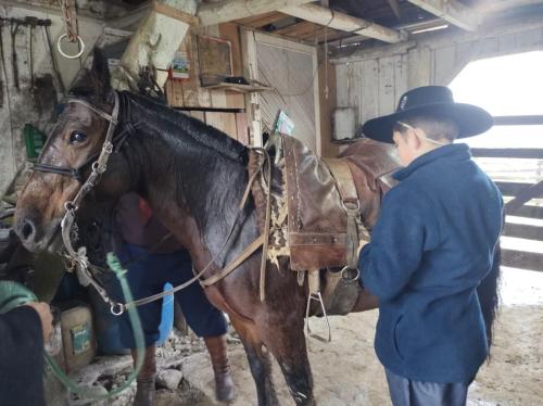 WhatsApp-Image-2024-05-20-at-21.42.54-2