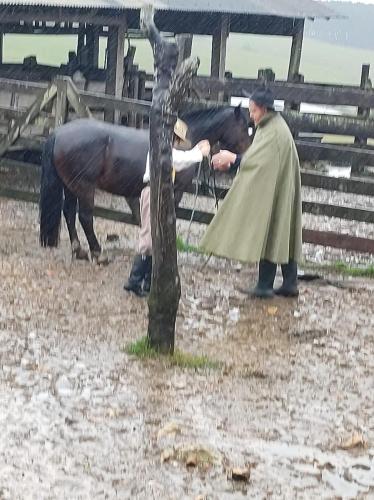 WhatsApp-Image-2024-05-20-at-21.42.55-2