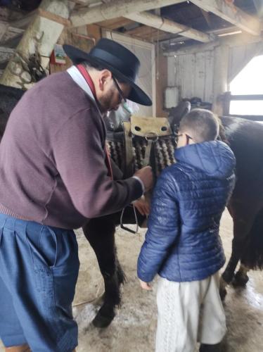 WhatsApp-Image-2024-05-20-at-21.42.56-2