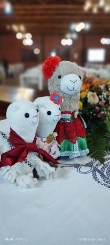 WhatsApp-Image-2024-05-20-at-21.45.01-1